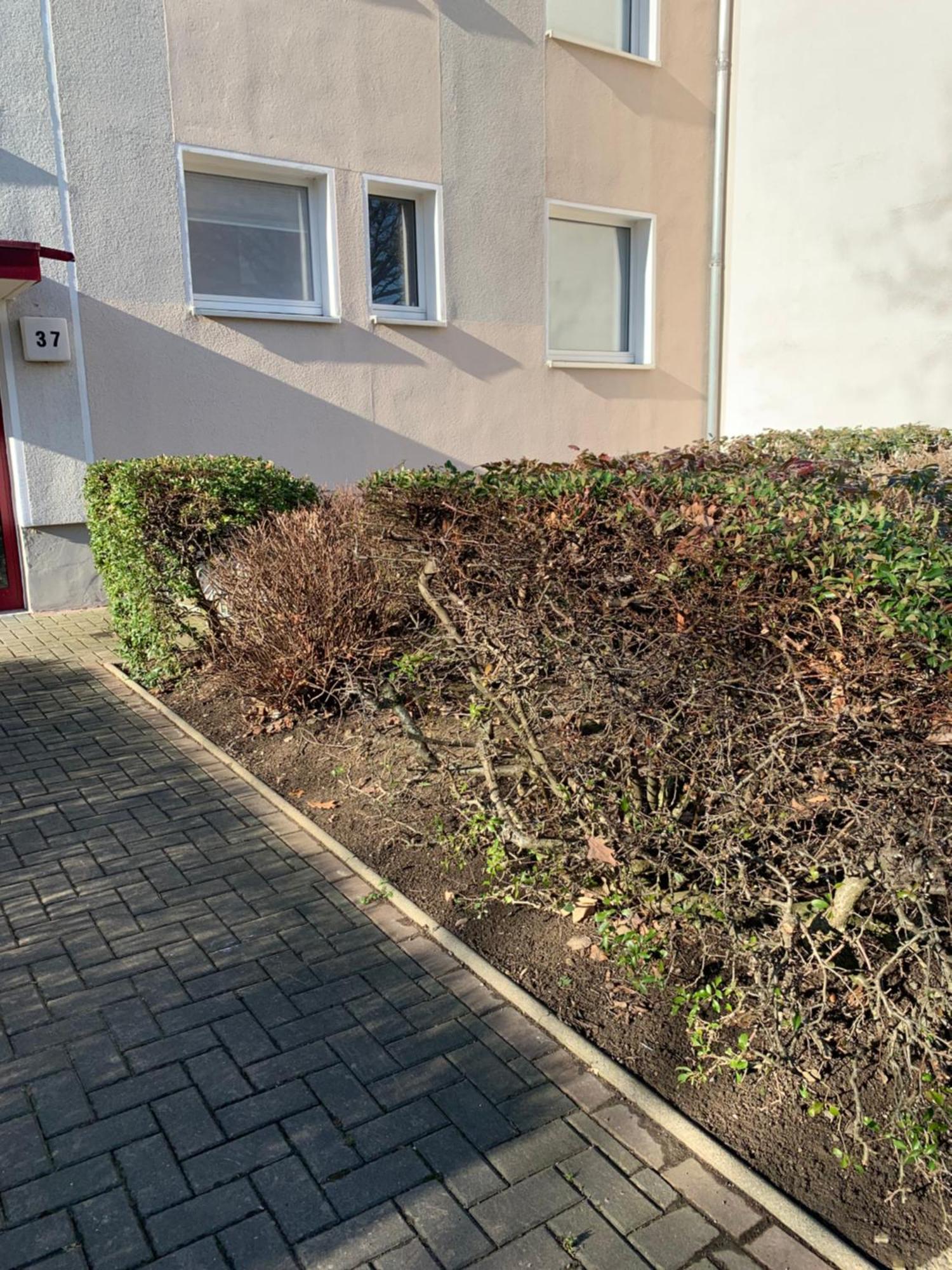 Mycha Ferienwohnung Goslar Exterior photo